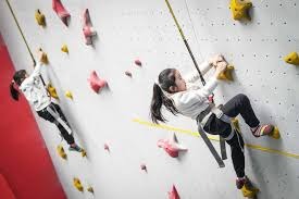 老妇人强势逆转!尤文图斯3-0大胜萨索洛，戴维传射闪耀全场